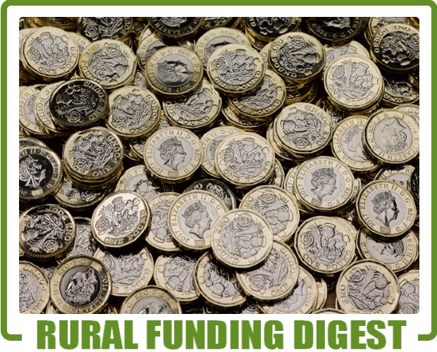 Rural Funding Digest - January 2025